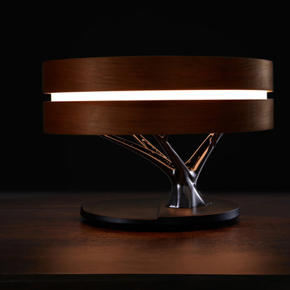 Round Intelligent Music Wi-Fi Bluetooth Speaker, charger Bed Led Lamp.